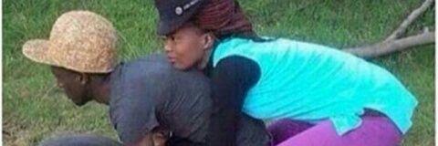 IBoughtYourDog's profile banner image