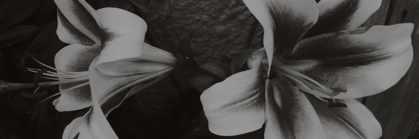 softmemoria's profile banner image