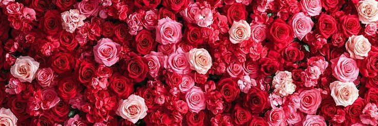 _ASALOMEA's profile banner image