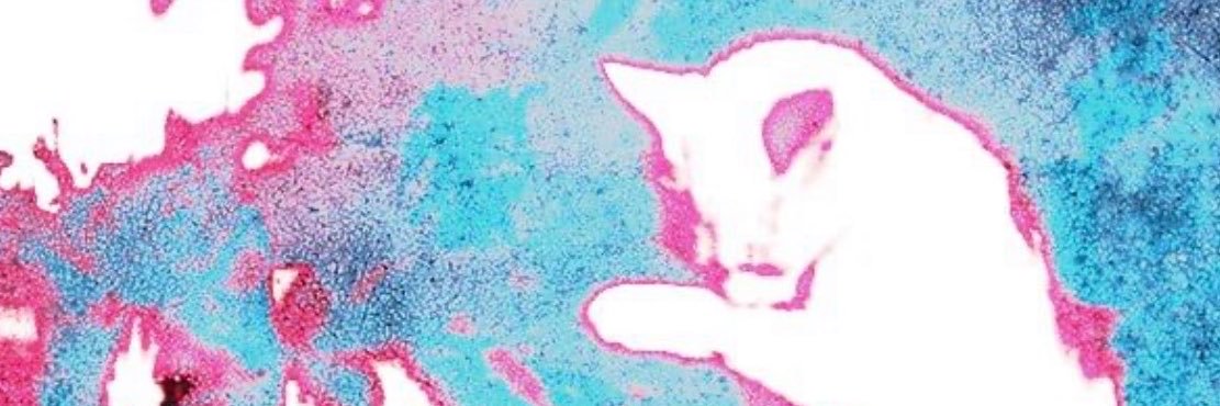 N00BPWN3RR's profile banner image