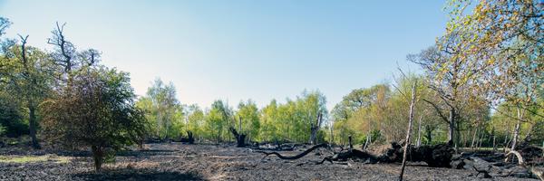 epsomcomet Profile Banner
