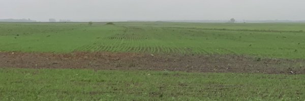 SCLEMIS Profile Banner