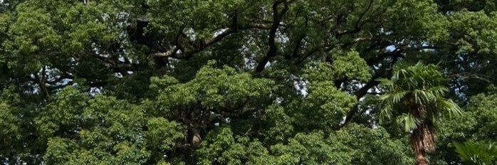 d_d_d_DIVEeee's profile banner image