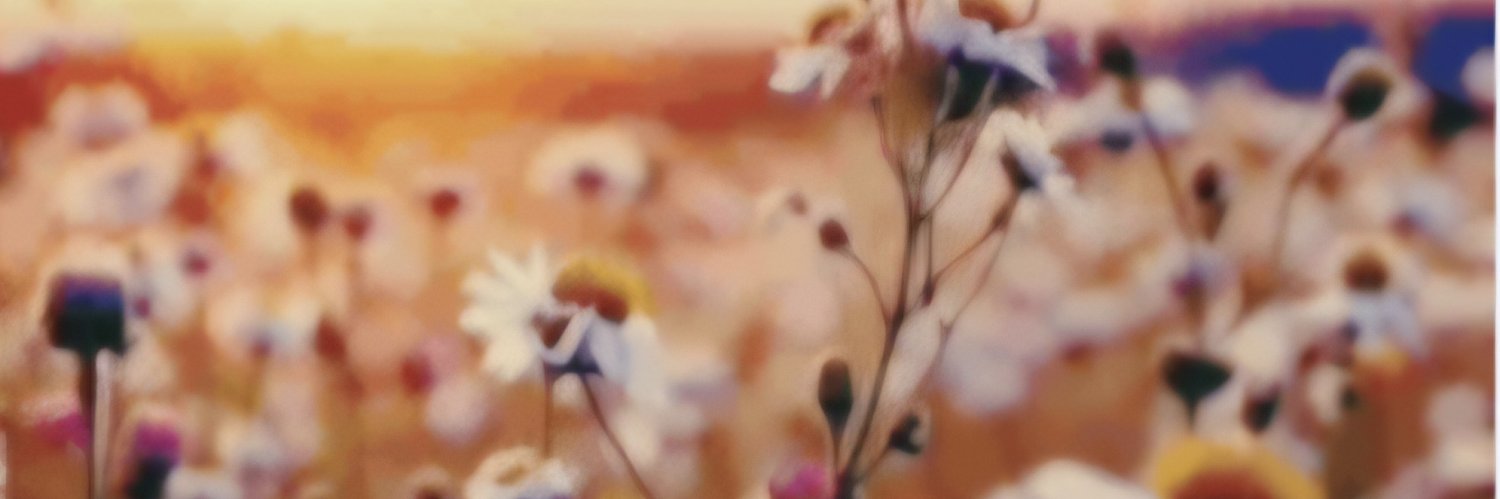 SitarBrina's profile banner image