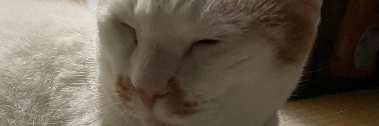 pistaaaa's profile banner image