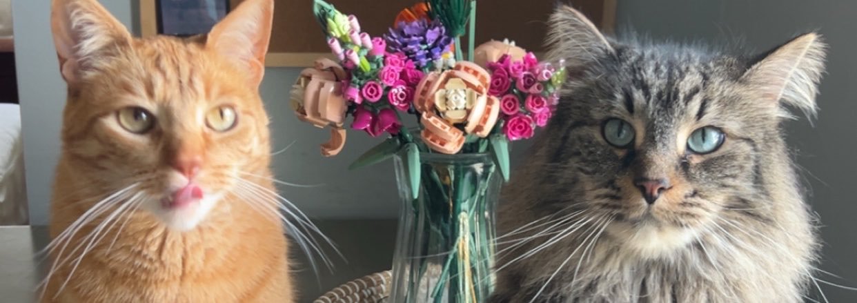 AbbyBischoff's profile banner image