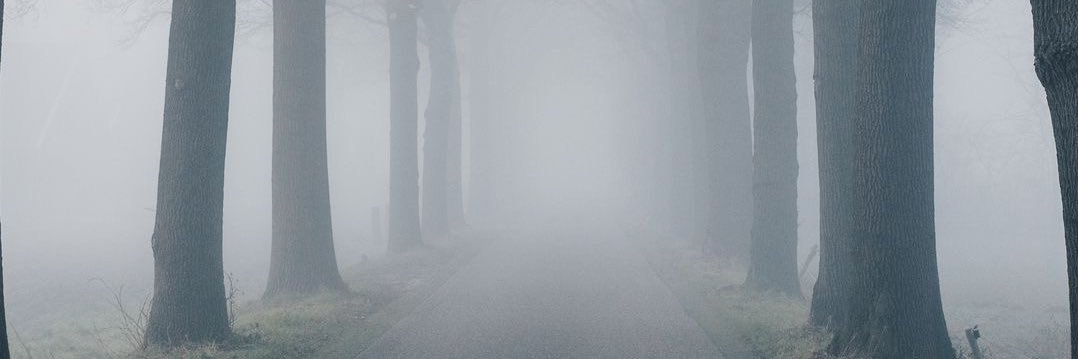 Dariogcadena's profile banner image