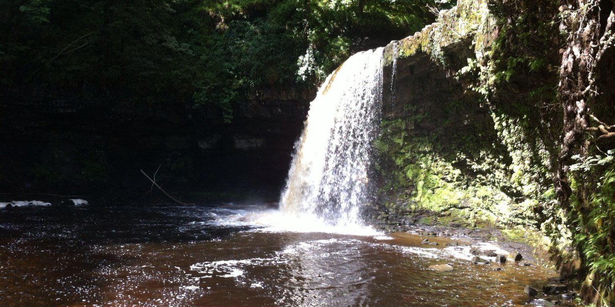 Danielle Weaver banner