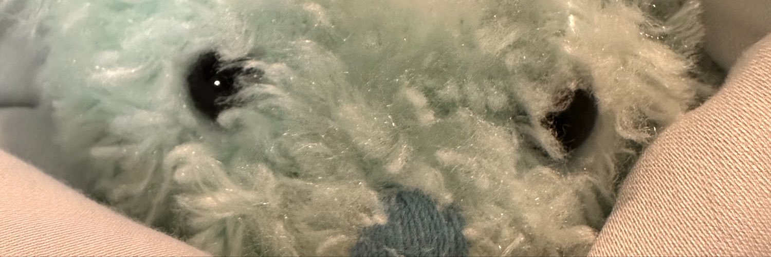 B0ck1e2's profile banner image