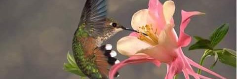 Betty_Aponte's profile banner image