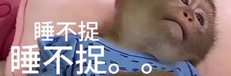 LingfengtqGG's profile banner image