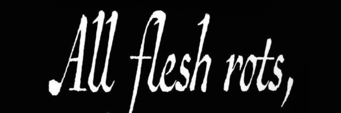V1CED0LL's profile banner image