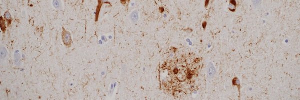 jme_walker Profile Banner