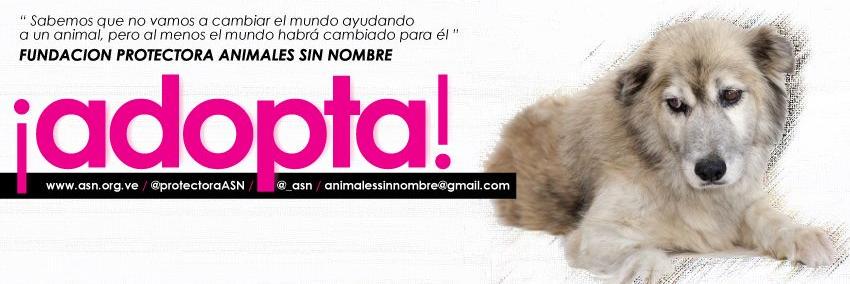 Animales Sin Nombre banner