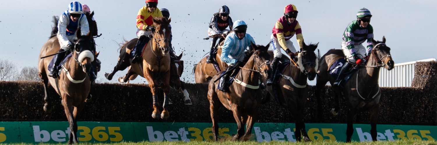 HerefordRaces's profile banner image