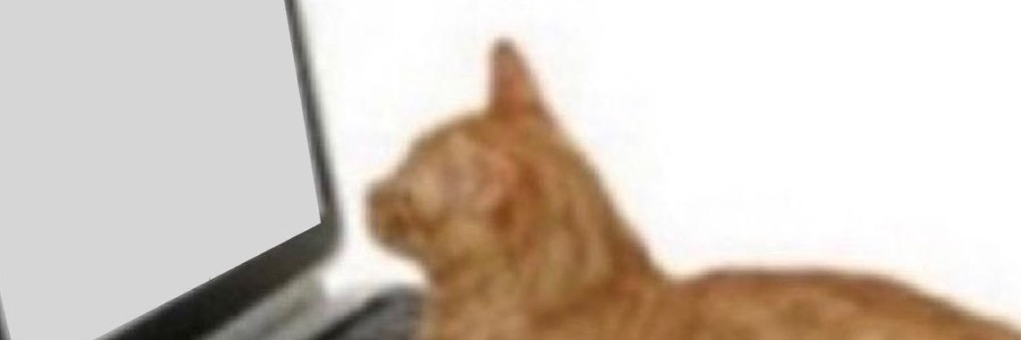 estrelates's profile banner image
