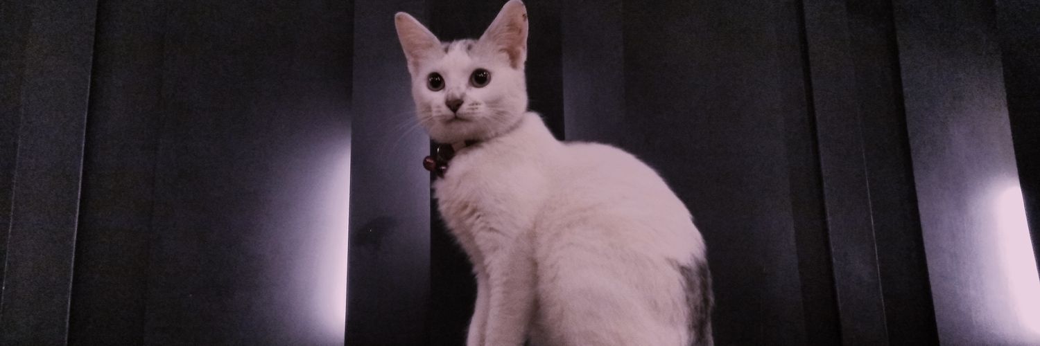 Dwiki Ramadhan O banner