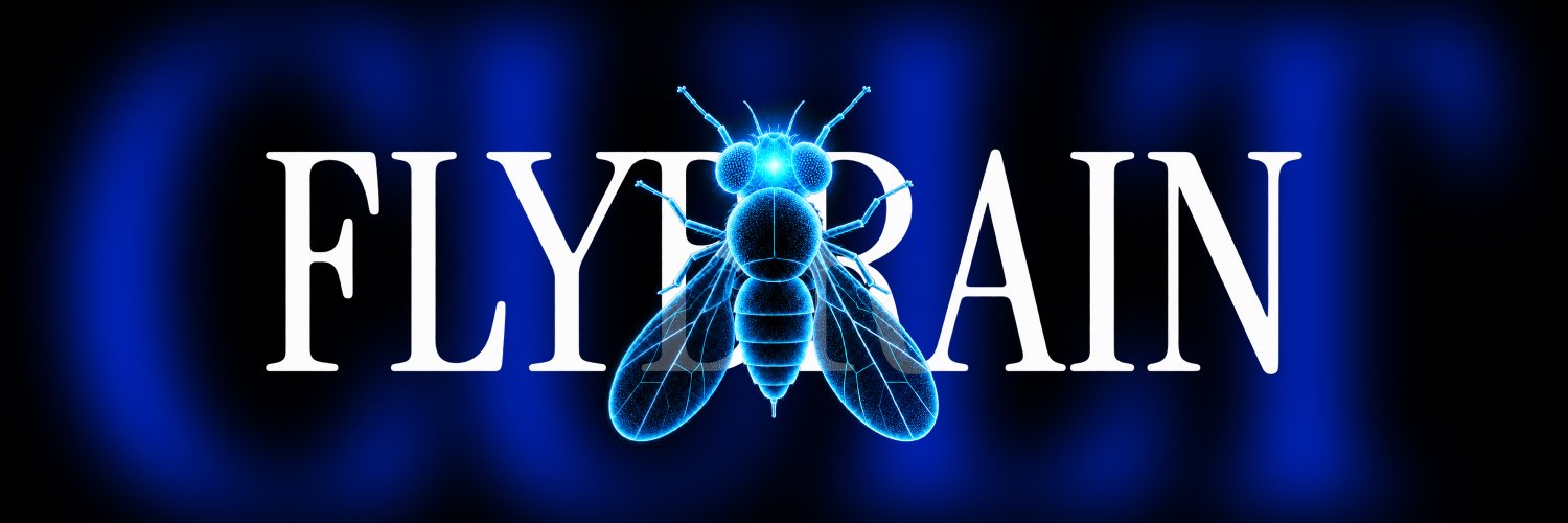 FLYBRAINCULT's profile banner image