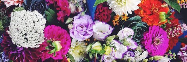 amy brendmoen banner