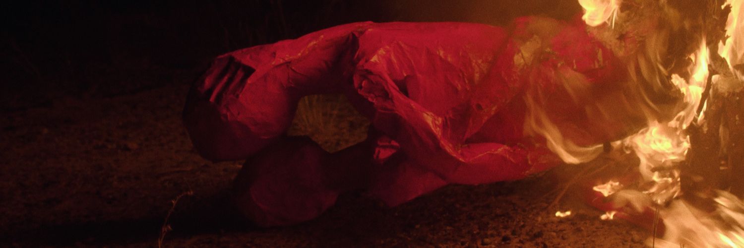 nicosauro's profile banner image
