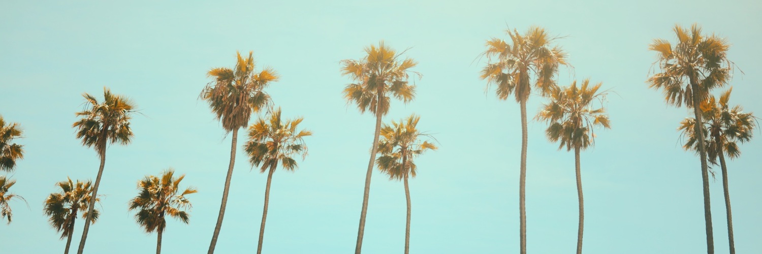lucagiani's profile banner image