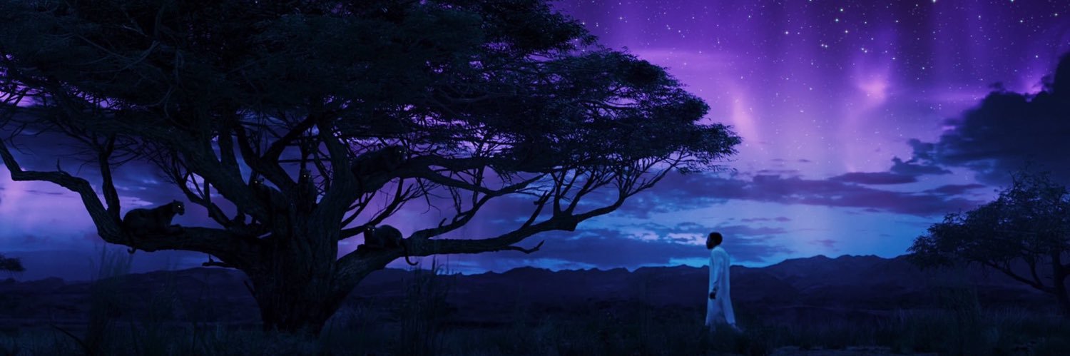 Bronzdalorian's profile banner image