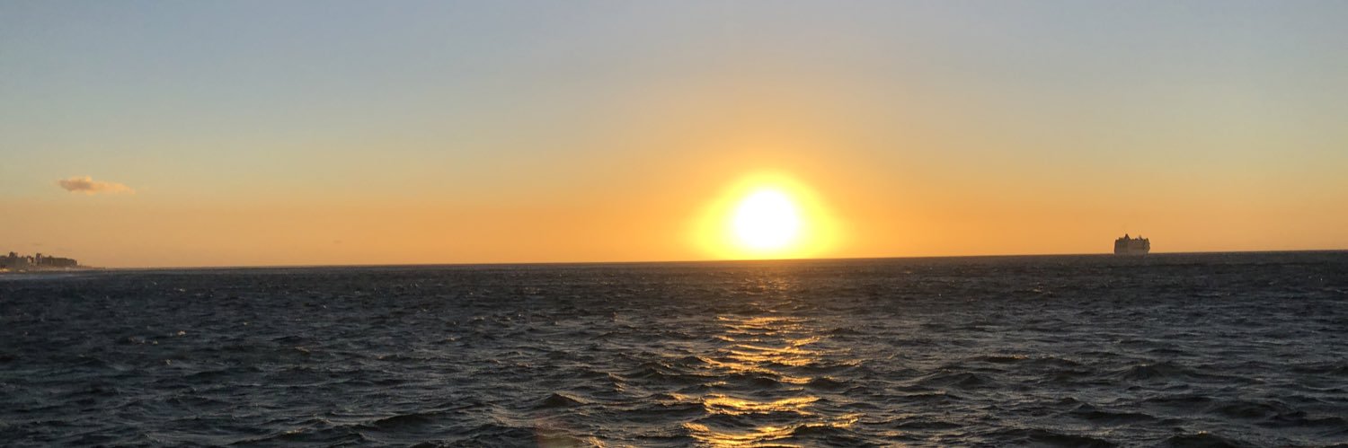 Lee_Phillips's profile banner image