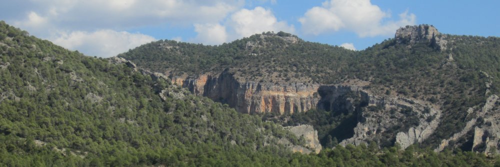 perecillo's profile banner image