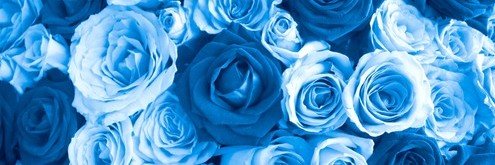 BlueGirlsFeet's profile banner image