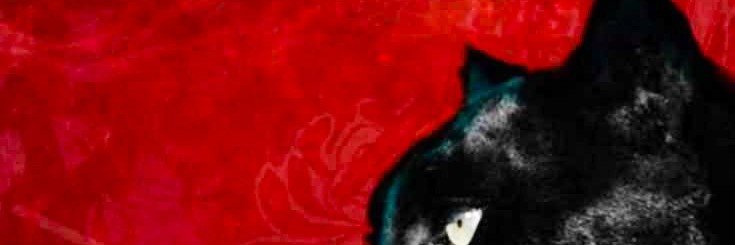 Ieesangyi's profile banner image