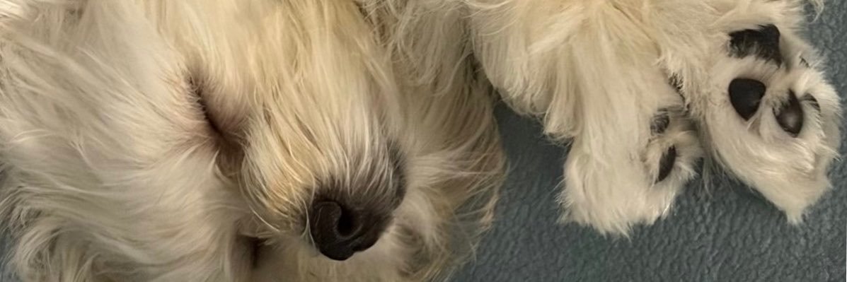 Luoopfj's profile banner image