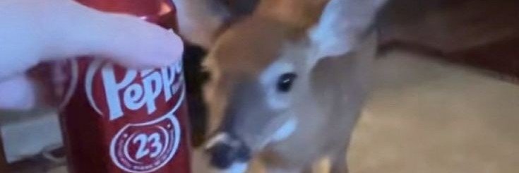 rulerofspace25's profile banner image