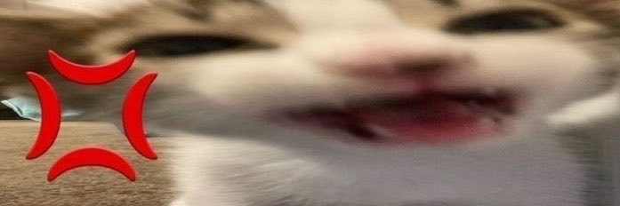 tzy_hn's profile banner image