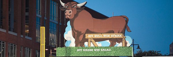 DurhamBulls Profile Banner