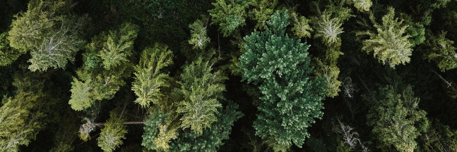 Fredrik Schöön banner