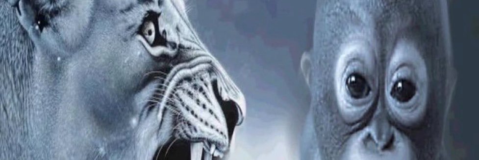 Ds03kk's profile banner image