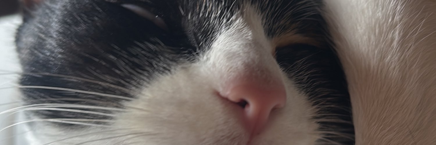 EsteefaG's profile banner image