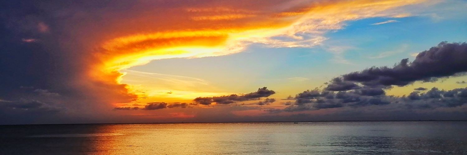 Joesebar's profile banner image