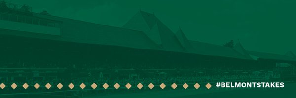 Belmont Stakes Profile Banner