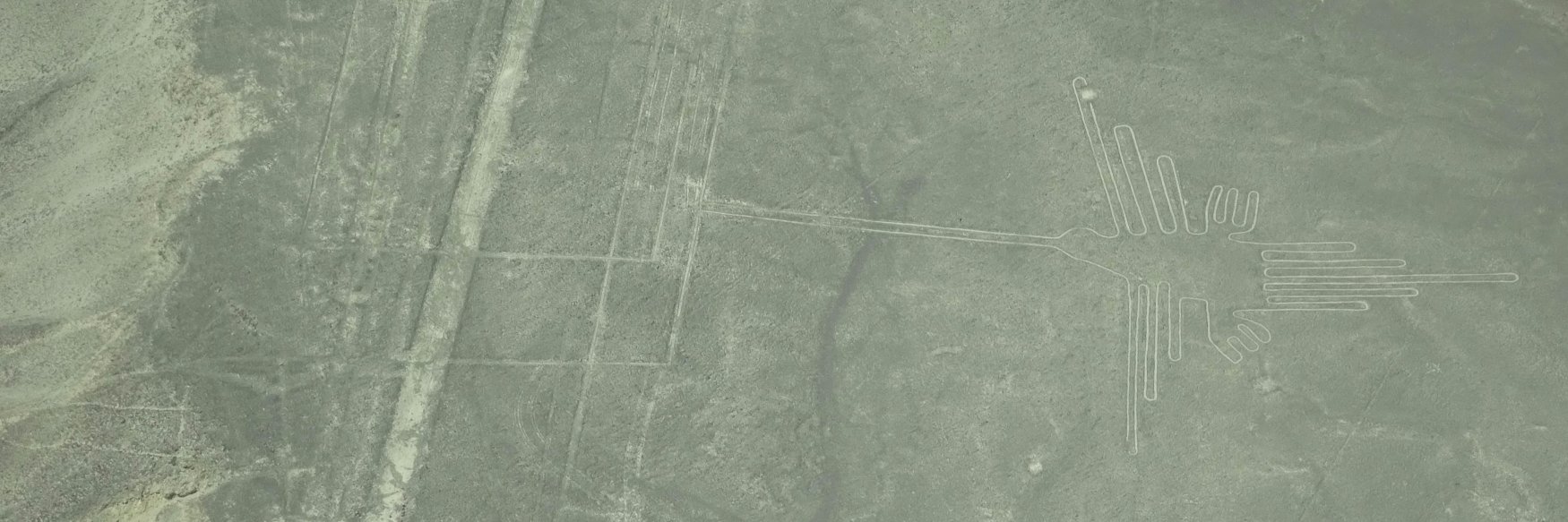 David Colwill banner