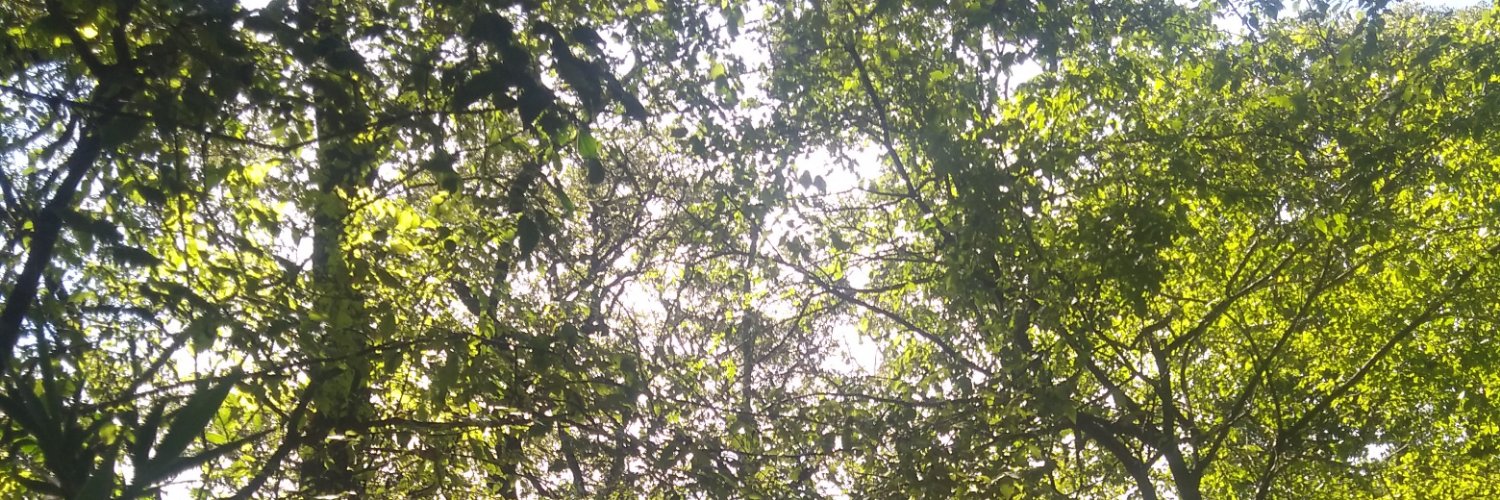RobinZelada45's profile banner image