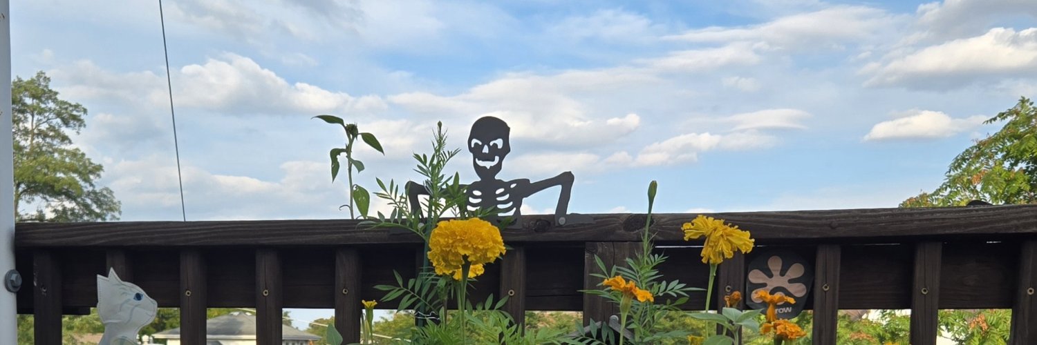 Chibagrrl's profile banner image