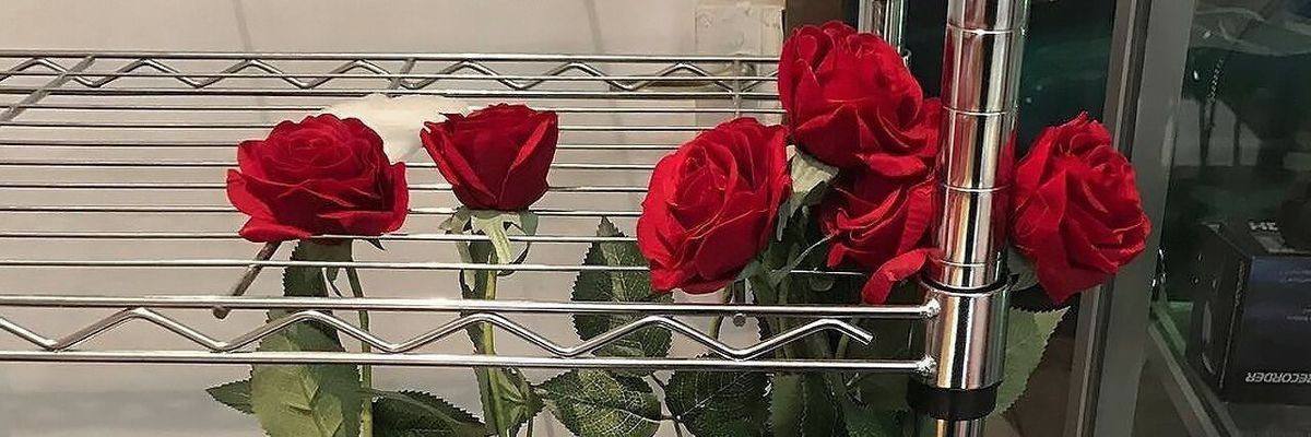 Maevaqbcuct's profile banner image