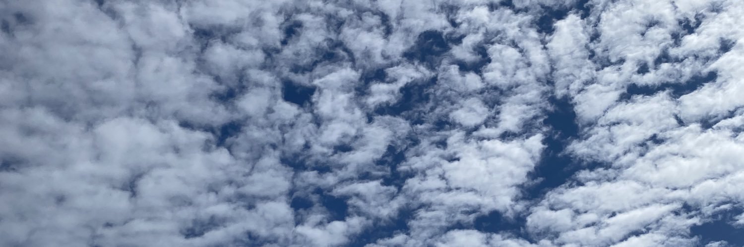 MaxineBucknall's profile banner image