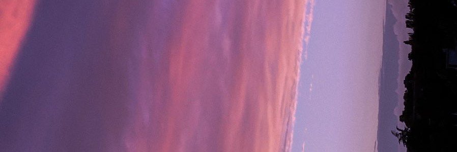 Foliaqqtq's profile banner image