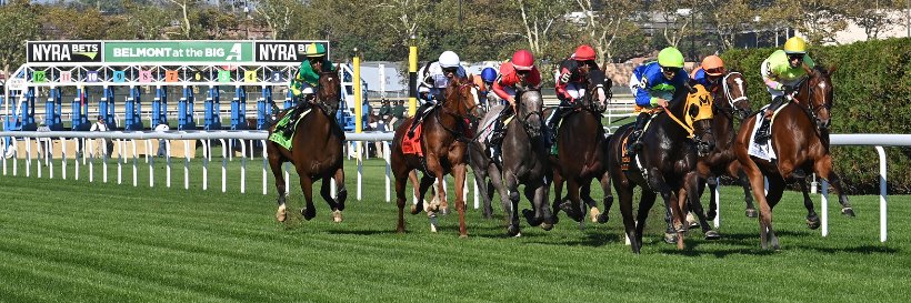 TheNYRA's profile banner image