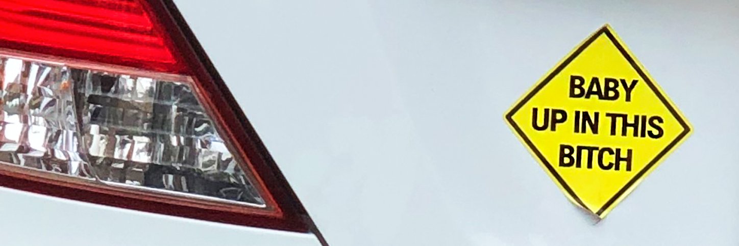 meggiemoo banner