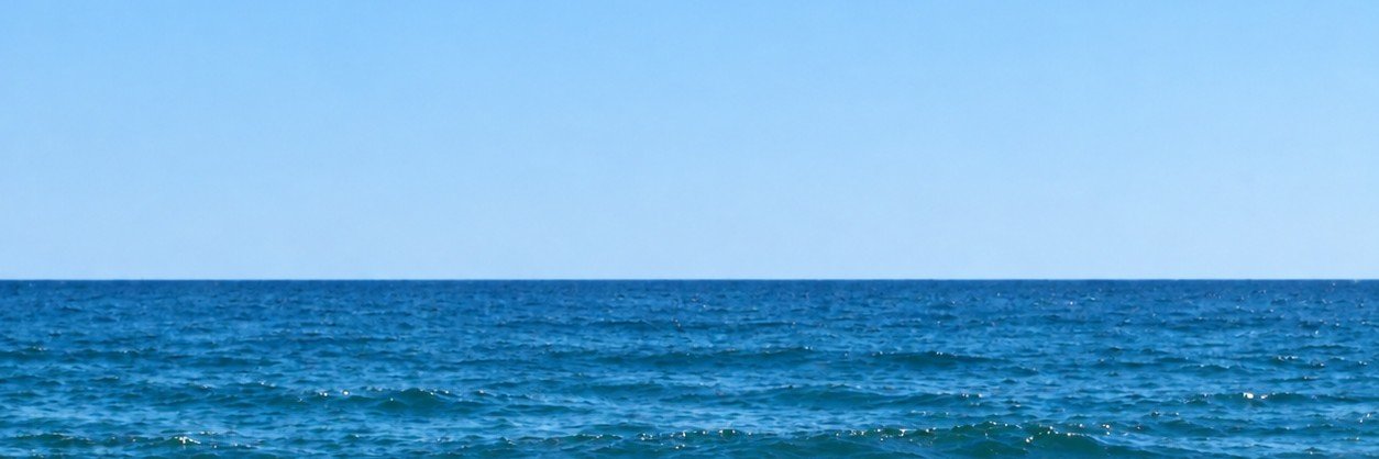 catofe_'s profile banner image