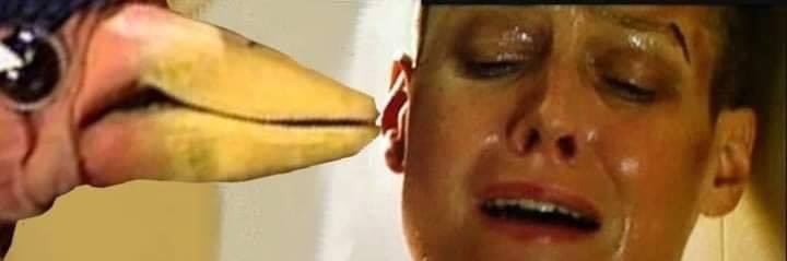 James Dore #StandWithUkraine banner