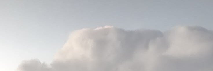Milolovesseals's profile banner image